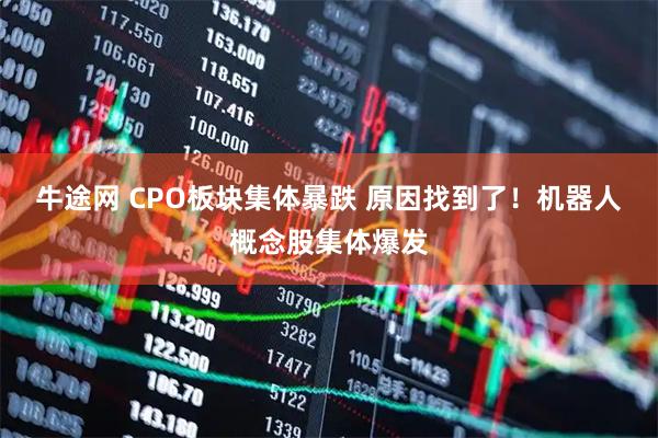 牛途网 CPO板块集体暴跌 原因找到了！机器人概念股集体爆发
